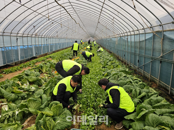 [포토] 농협, 임직원 자율참여형 봉사활동