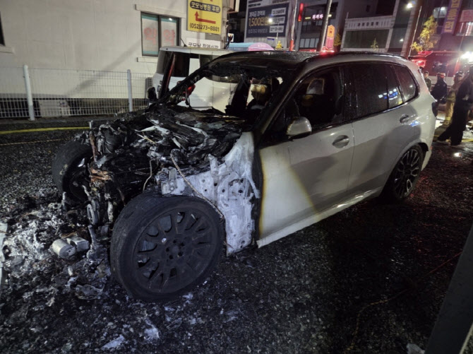 주차된 BMW하이브리드 차량서 화재…1억원 피해