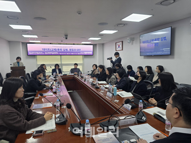 "입법 공백이 만든 사각지대…친밀관계 폭력, 새 법체계 필요"