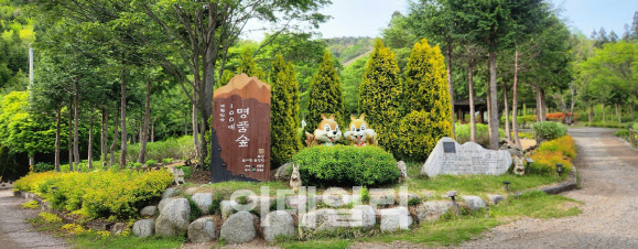 산림의 6차 산업화로 성공…숲 경영 미래를 밝힌다