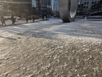 "엄마, 미끄러우니까 뛰지마"…서울 첫눈에 출근길 `대혼란`