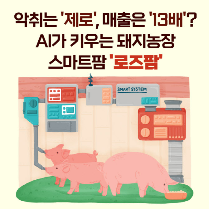 [카드뉴스] AI가 키우는 돼지농장, 악취는 '제로' 매출은 13배?