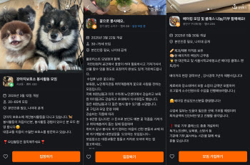 즐거운 취미부터 보람찬 봉사까지…온기 높이는 당근 속 모임