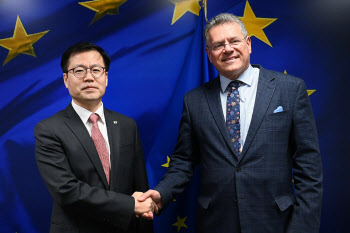 ‘구조조정’ 석화 지원 위해 EU 비관세장벽 해소·신흥시장 발굴 추진