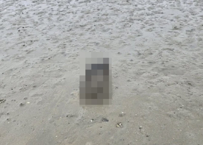 고양이 철창에 가둬 '갯벌'에 익사...범인 황당 변명