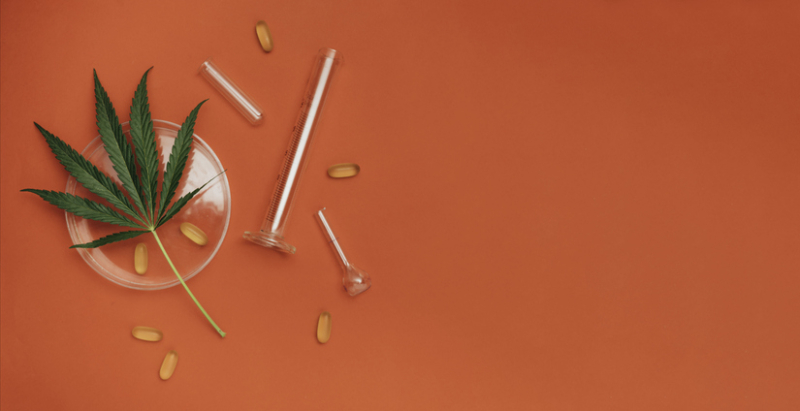 美 정부, 대마초 의학적 효능 인정(?) 업계 촉각