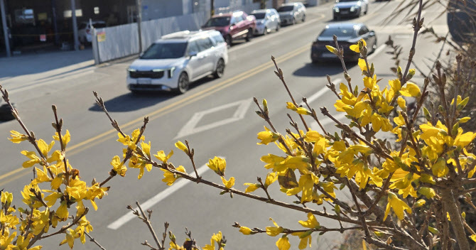 평년 웃도는 기온…수도권 추적추적 ‘겨울비’[내일날씨]