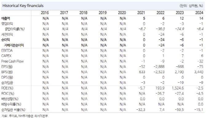루미르, 내년 실적 개선·자체위성 발사 기대-NH