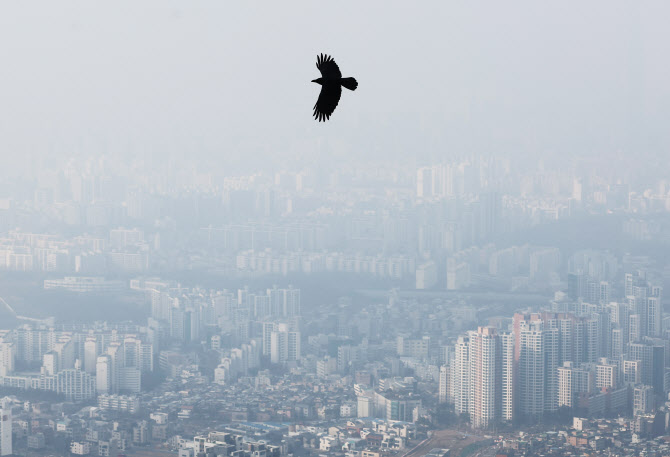 온화한 겨울날씨 지속…남부는 비 소식[오늘날씨]