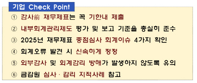 금감원 "올해 결산 내부회계·자금부정통제 공시 의무화"...유의사항 안내