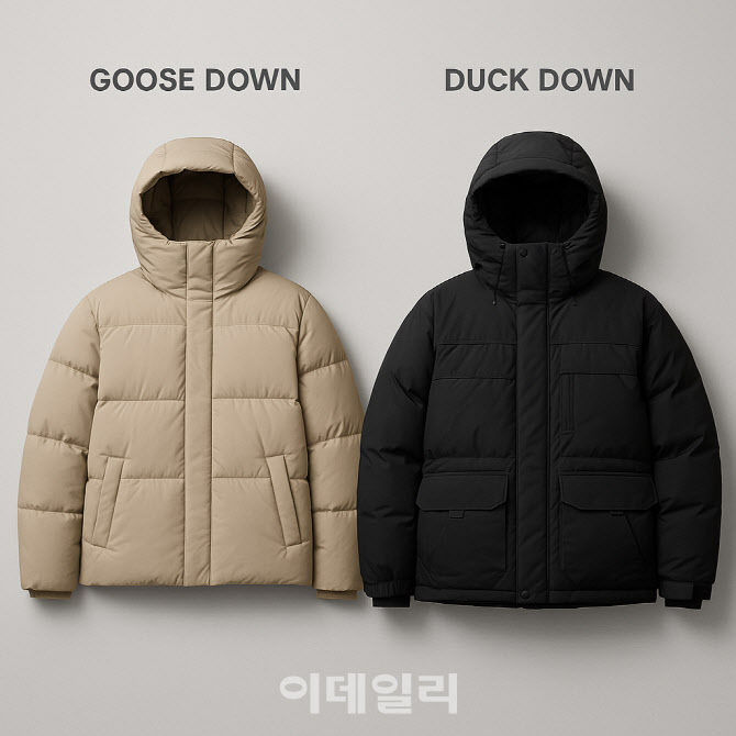 "구스다운인데 오리털이"…해외선 징벌적 손해배상·시장 퇴출까지