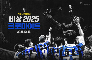 '1부리그 승격' 인천, 우승과 승격 담은 다큐멘터리 공개