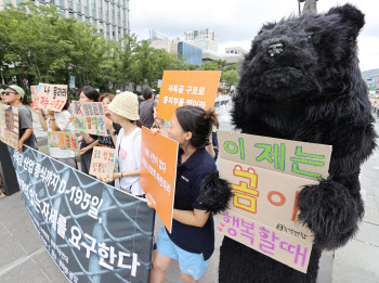 40년 넘게 이어진 곰 사육·웅담 채취, 내년부터 전면 금지