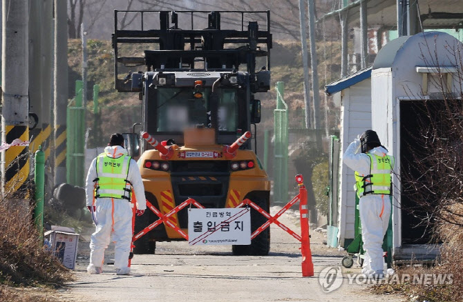 천안·진천서 고병원성 조류인플루엔자 발생…총 28건으로 늘어