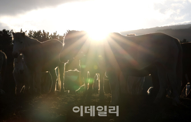 [포토]"반갑다 2026년"