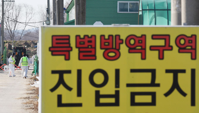 익산 가금농장서 전국 32번째 고병원성 AI 확인