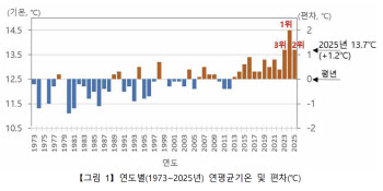 2025년, 역대 두 번째로 더웠다…대관령 `첫 폭염` 기록도