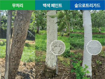 강추위 피해 막는다...KCC, 과수 전용 페인트 개발