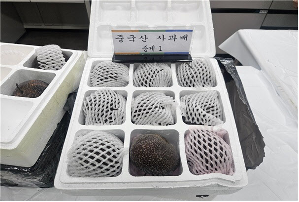 1150톤 규모 중국산 사과·배 등 불법 수입한 일당 적발