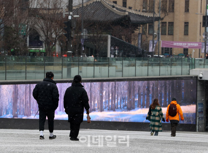 [포토] 눈내린 숲길 착시