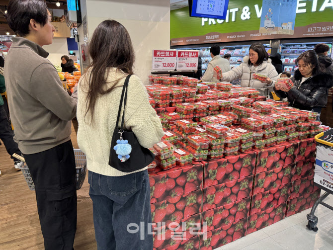 "손주 줄 딸기, 비싸서 내려놨어"…텅 빈 장바구니 '한파'[르포]