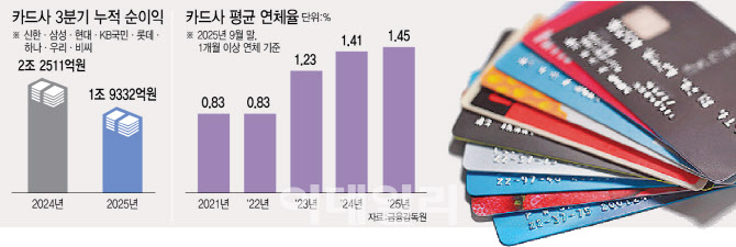 사면초가 카드업계, 새 수익원 찾기 골몰