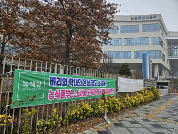 "승부조작에 마약 투혼까지"…'청도 소싸움' 충격 민낯