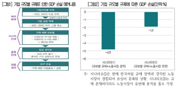 "성장하면 손해?"…규제·노동 경직성에 GDP 111조 손실