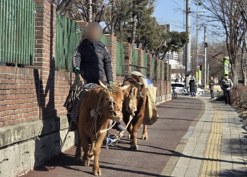 "국민은 누굴 믿냐"…소 타고 경찰서 찾아간 60대