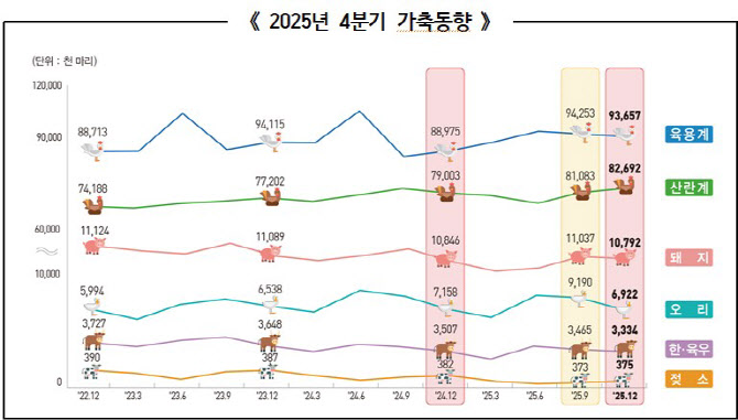 작년 4분기 닭 사육 증가…소·돼지·오리는 감소