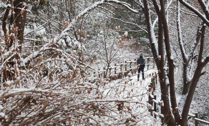 "갑자기 폭설이"…서울·인천 등 대설특보, 밤새 6㎝ 예보