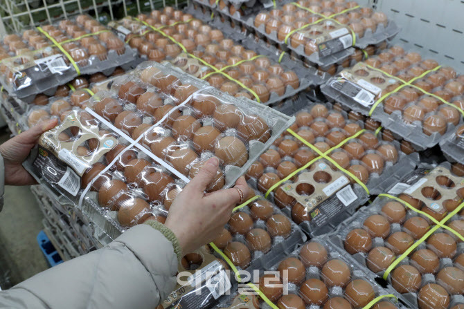 [포토] 조류인플루엔자 확산으로 계란 수급 불안