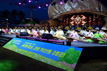 ‘고령 대가야축제, 대한민국 대표 축제 인정’ 문화관광축제 2회 연속 선정