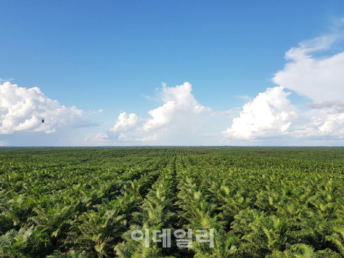 포스코인터, 사상 최대 실적…알래스카 LNG 최종계약 3월 이후(종합)