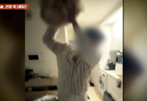 “야! 야?” 싸우다 욱해서 강아지 내동댕이…10개월 반려견 중상
