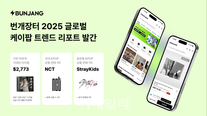 번개장터 "미국이 K팝 굿즈 최대 큰손"…글로벌 리포트 공개