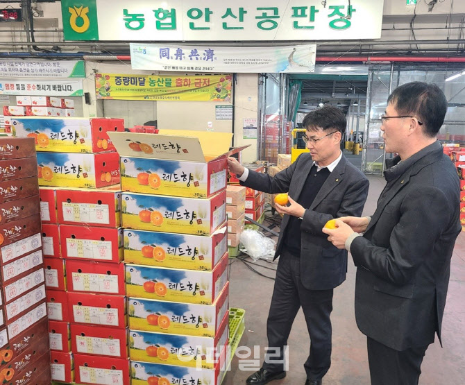 [포토] 농협, 설 성수품 수급상황 점검