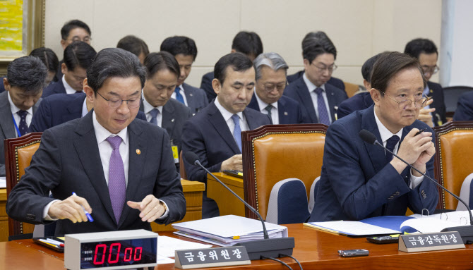 전세사기 피해자 '대출 분할상환' 실적저조 지적에 …이억원 “실태 점검”