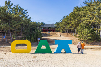 2.5억년 신비 품은 '지하 금강산' 지나…솔향 가득 바다정원을 거닐다