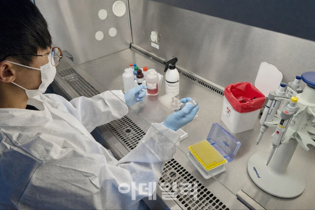 경기도, 돼지 전수검사 조기출하…설 명절 돈육 공급 지원