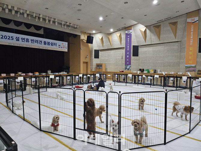 설명절, 댕댕이 걱정 끝… 맡아주는 서울 자치구들[댕냥구조대]