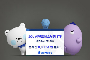 삼전·하닉 앞섰다…SOL AI반도체소부장 ETF, 순자산 8000억 돌파