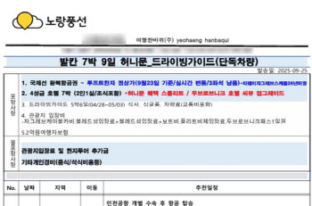 패키지여행 상품의 ‘덫’…되풀이되는 ‘대리점 리스크’
