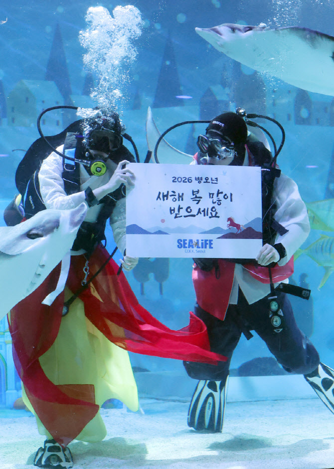 [포토]가오리와 함께하는 수중 새해 인사