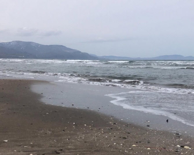 "모래에 파묻힌 한국 남성 시신"...日홋카이도 해변 산책 중 '경악'