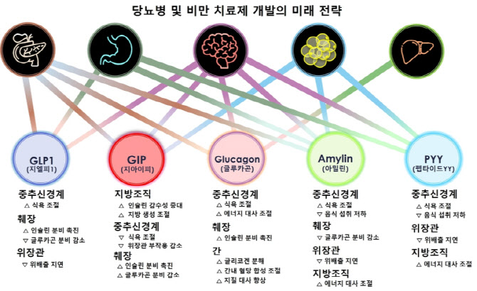 “체중 20% 빠진다”…‘차세대 비만약’ 부작용은?