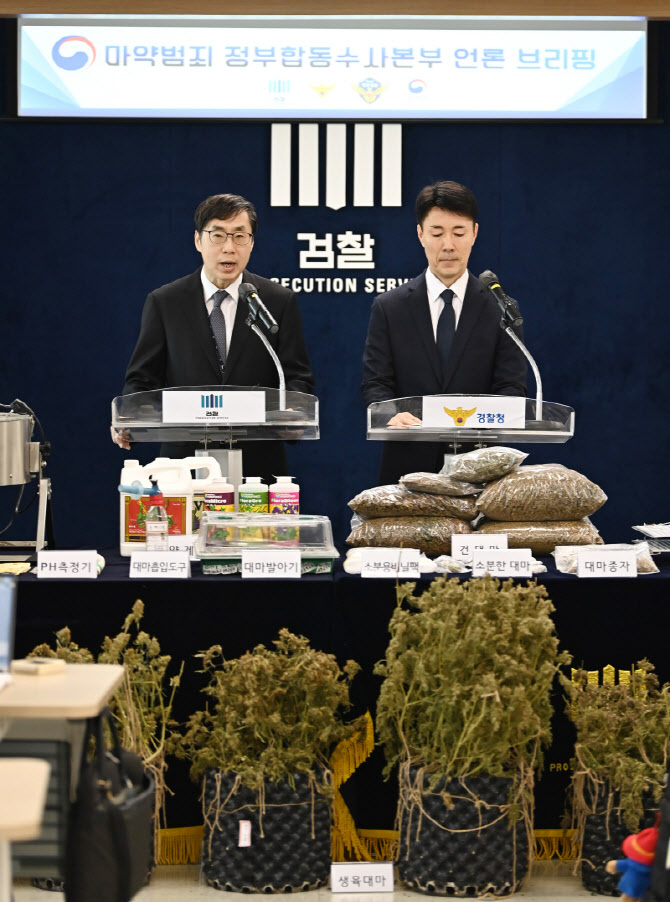 마약 합수본, 주택가 침투한 전문 대마 재배시설 적발…4명 구속