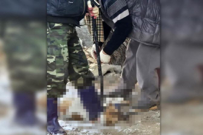 공공기관서 반려견 3마리 입양해 잡아먹은 70대, 경찰 조사