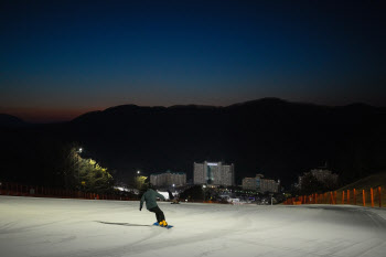 반려동물과 즐기는 호캉스…맞춤 '펫캉스' 패키지 봇물