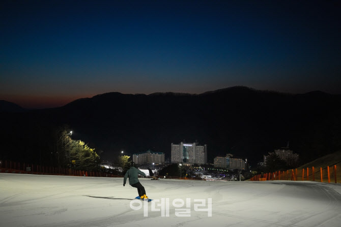 반려동물과 즐기는 호캉스…맞춤 '펫캉스' 패키지 봇물